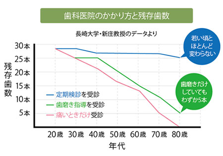 歯科医院のかかり方と残存歯数のグラフ